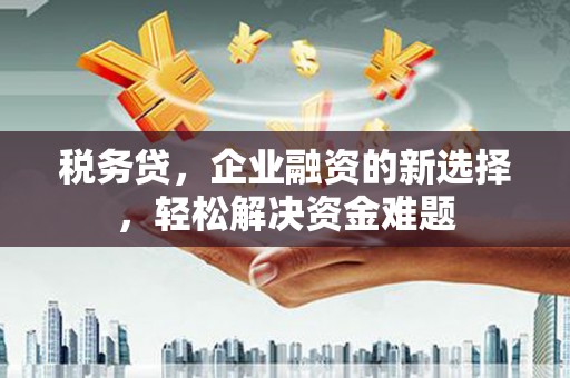 田东税务贷，企业融资的新选择，轻松解决资金难题