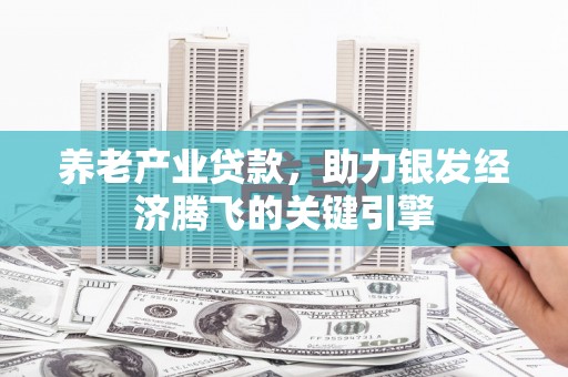 桥东养老产业贷款，助力银发经济腾飞的关键引擎