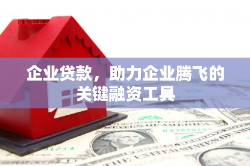 尼木企业贷款，助力企业腾飞的关键融资工具