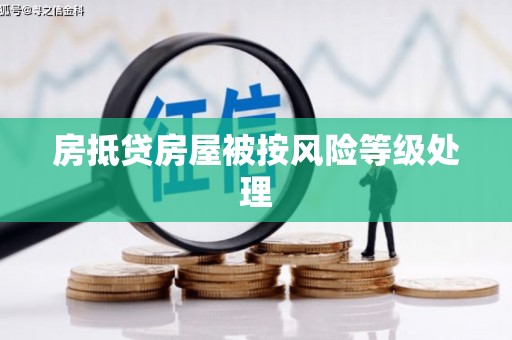 东明房抵贷房屋被按风险等级处理