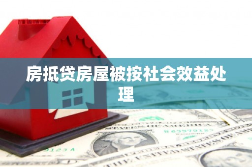 东明房抵贷房屋被按社会效益处理