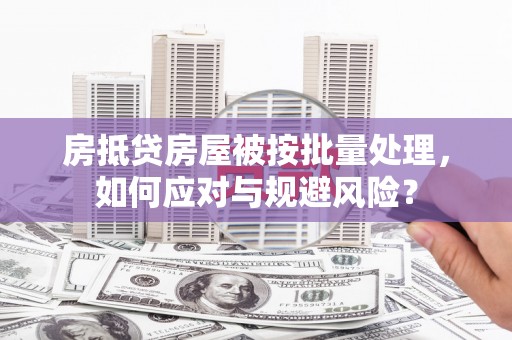 六横房抵贷房屋被按批量处理，如何应对与规避风险？