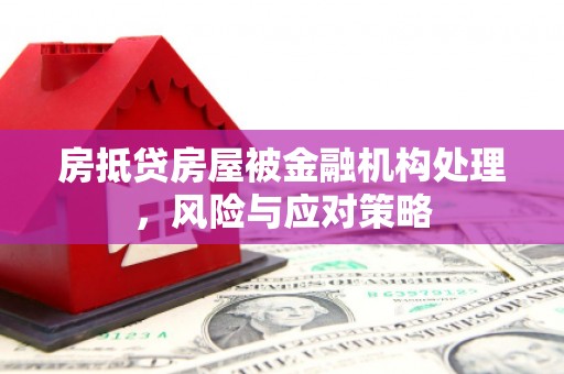 上栗房抵贷房屋被金融机构处理，风险与应对策略