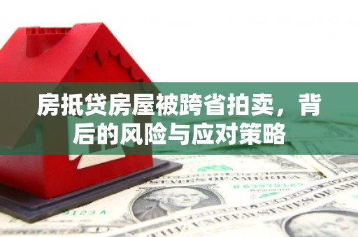 惠农房抵贷房屋被跨省拍卖，背后的风险与应对策略
