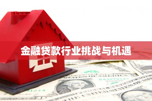 通河金融贷款行业挑战与机遇
