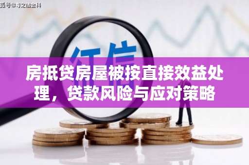 东港房抵贷房屋被按直接效益处理，贷款风险与应对策略