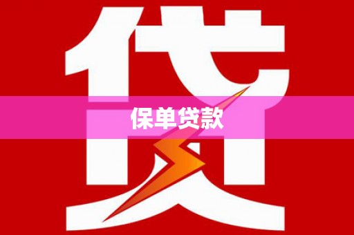 加查保单贷款
