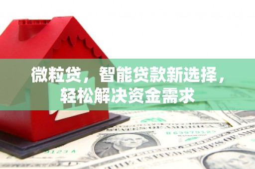 青海微粒贷，智能贷款新选择，轻松解决资金需求