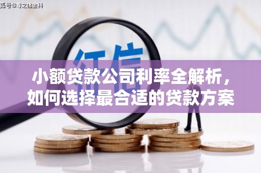 诏安小额贷款公司利率全解析，如何选择最合适的贷款方案