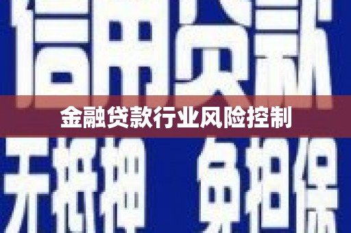 泗洪金融贷款行业风险控制