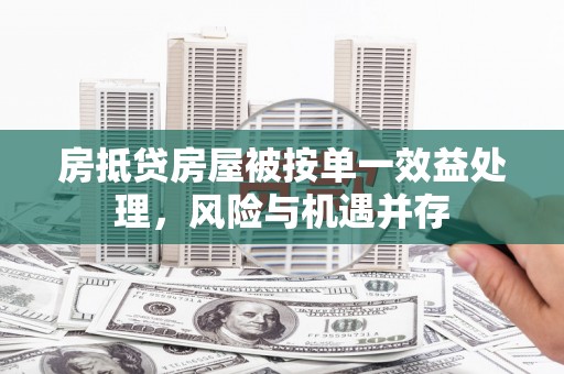 公馆房抵贷房屋被按单一效益处理，风险与机遇并存