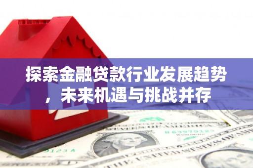 疏勒探索金融贷款行业发展趋势，未来机遇与挑战并存