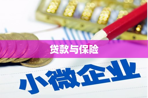 琉球贷款与保险