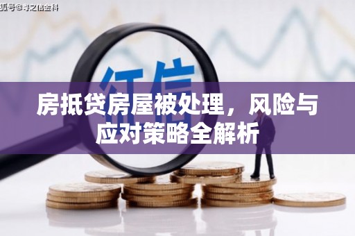 杜尔伯特房抵贷房屋被处理，风险与应对策略全解析