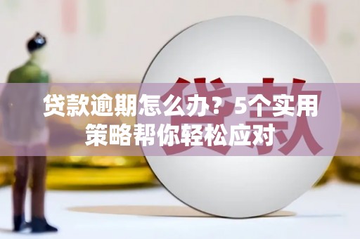 儋州贷款逾期怎么办？5个实用策略帮你轻松应对