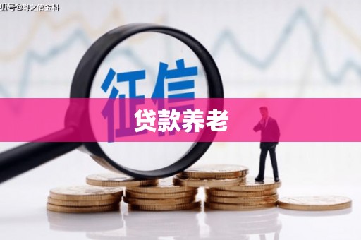 儋州贷款养老