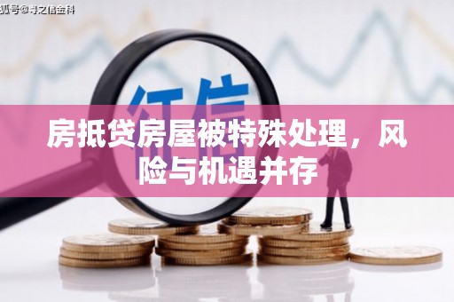 儋州房抵贷房屋被特殊处理，风险与机遇并存