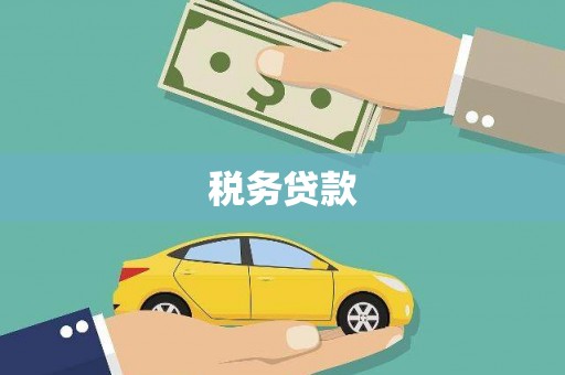左镇税务贷款