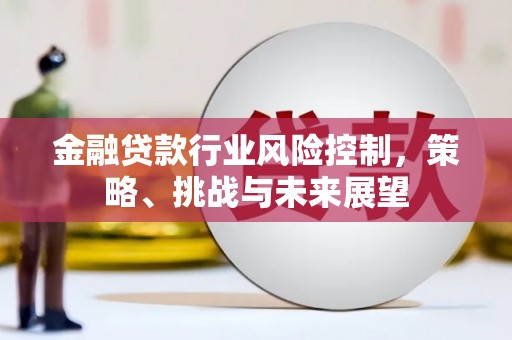 西双版纳金融贷款行业风险控制，策略、挑战与未来展望