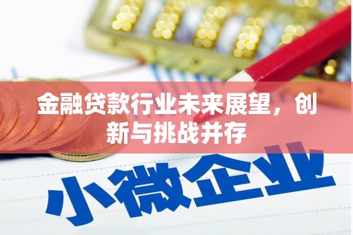 西双版纳金融贷款行业未来展望，创新与挑战并存
