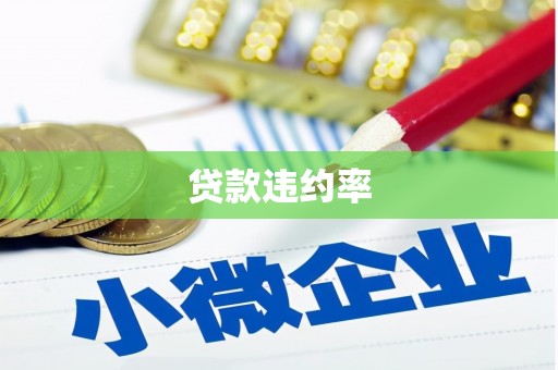 兴海贷款违约率