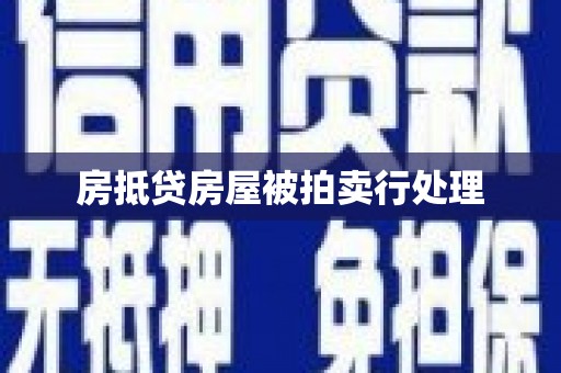 叶县房抵贷房屋被拍卖行处理