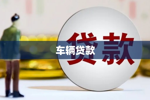 叶县车辆贷款