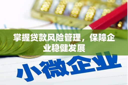 资中掌握贷款风险管理，保障企业稳健发展