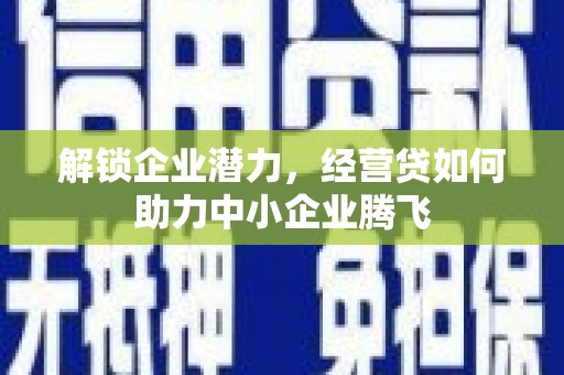 丹凤解锁企业潜力，经营贷如何助力中小企业腾飞