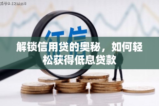 大通解锁信用贷的奥秘，如何轻松获得低息贷款
