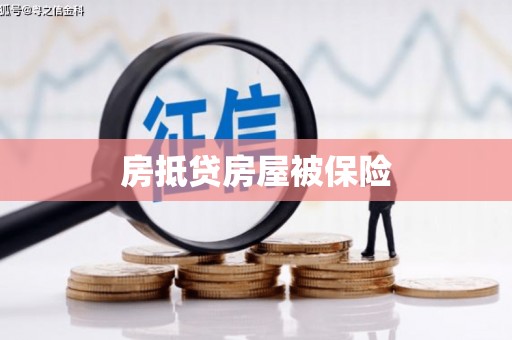 社旗房抵贷房屋被保险
