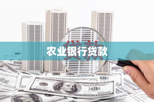 社旗农业银行贷款