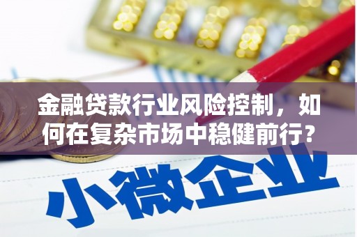 海南金融贷款行业风险控制，如何在复杂市场中稳健前行？