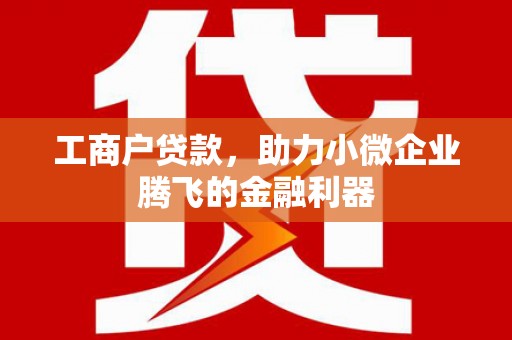 海南工商户贷款，助力小微企业腾飞的金融利器