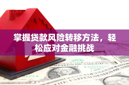 阿莲掌握贷款风险转移方法，轻松应对金融挑战