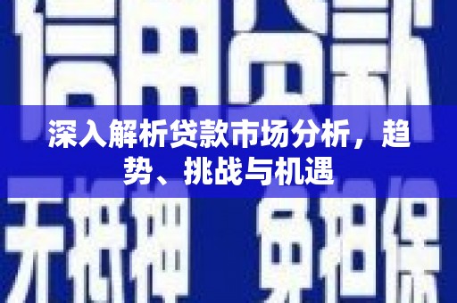 定州深入解析贷款市场分析，趋势、挑战与机遇