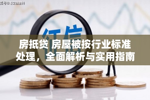 淡水房抵贷 房屋被按行业标准处理，全面解析与实用指南
