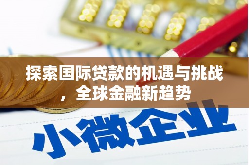 浏阳探索国际贷款的机遇与挑战，全球金融新趋势
