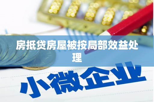美兰房抵贷房屋被按局部效益处理