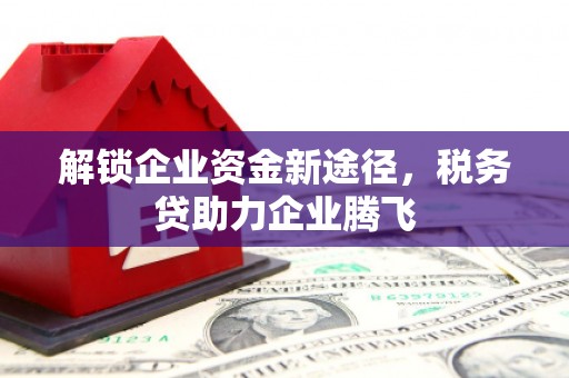 和静解锁企业资金新途径，税务贷助力企业腾飞
