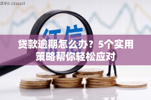 罗城贷款逾期怎么办？5个实用策略帮你轻松应对