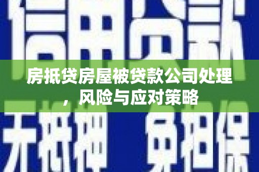 美兰房抵贷房屋被贷款公司处理，风险与应对策略