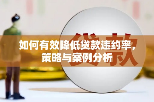 连南如何有效降低贷款违约率，策略与案例分析