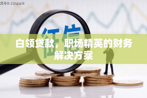 雨城白领贷款，职场精英的财务解决方案