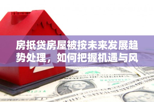洪洞房抵贷房屋被按未来发展趋势处理，如何把握机遇与风险？