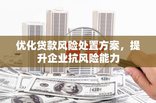 琼海优化贷款风险处置方案，提升企业抗风险能力