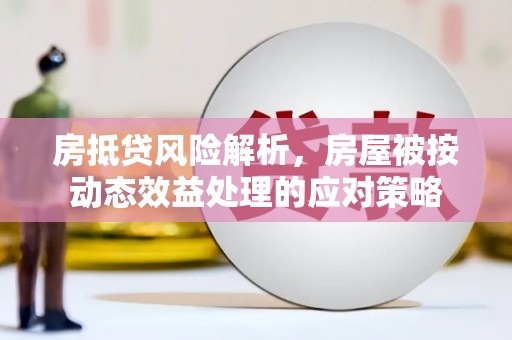 普定房抵贷风险解析，房屋被按动态效益处理的应对策略