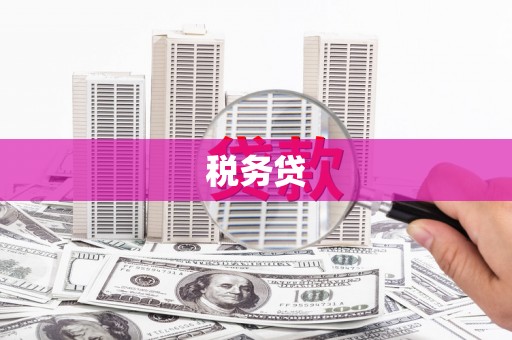 兰溪税务贷