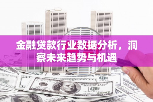 巩义金融贷款行业数据分析，洞察未来趋势与机遇
