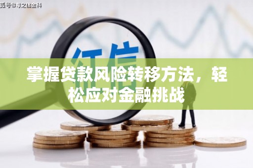 莞城掌握贷款风险转移方法，轻松应对金融挑战